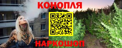 мяу мяу мука Нальчик