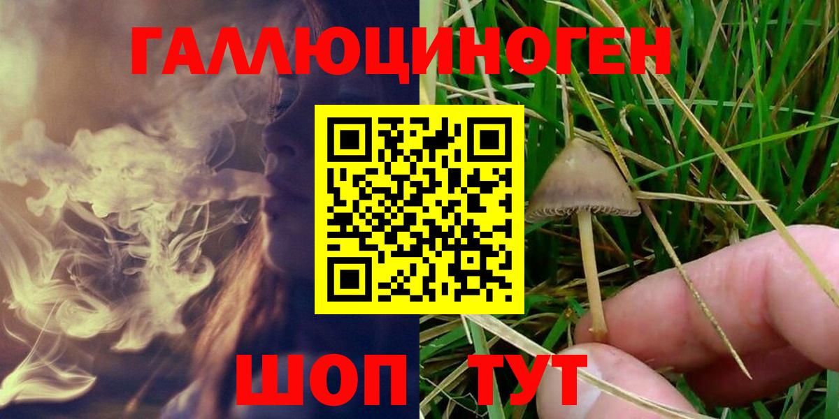 Галлюциногенные грибы GOLDEN TEACHER  Вход с VPN  Семёнов 