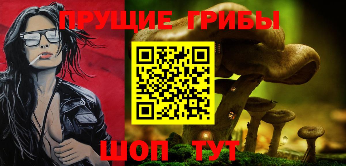 Галлюциногенные грибы Psilocybine cubensis Семёнов